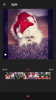 Camli - Video Editor android App screenshot 5